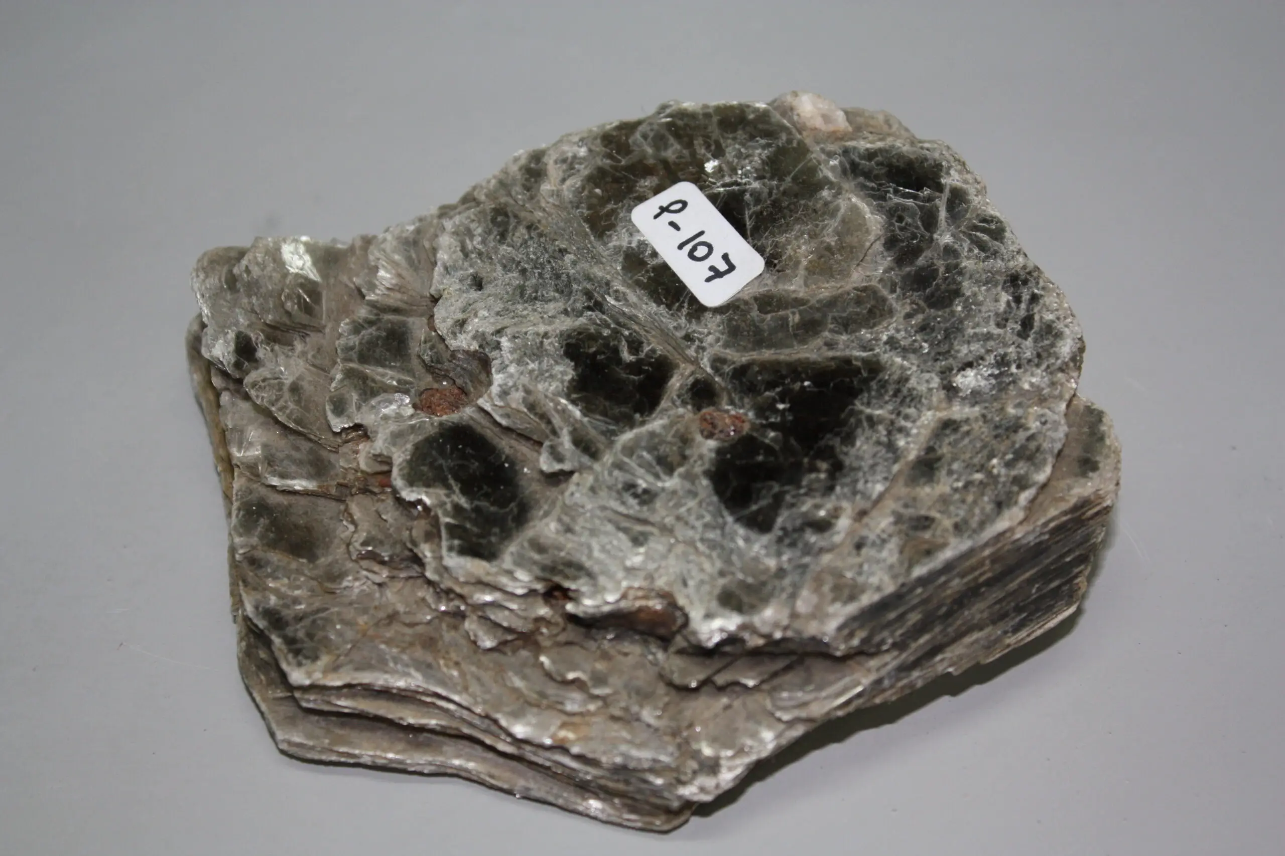 mica muscovita