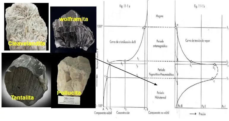 Estadíos magmáticos y minerales que se forman en las pegmatitas. Esquema realizado por Braian Pereyra basado en Niggli (1920) y las imágenes fueron tomadas de Mindat.org
