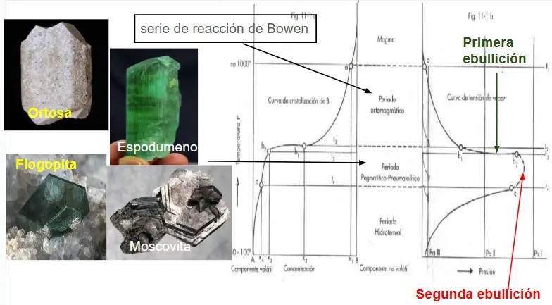 Estadíos magmáticos y minerales que se forman en las pegmatitas. Esquema realizado por Braian Pereyra basado en Niggli (1920) y las imágenes fueron tomadas de Mindat.org
