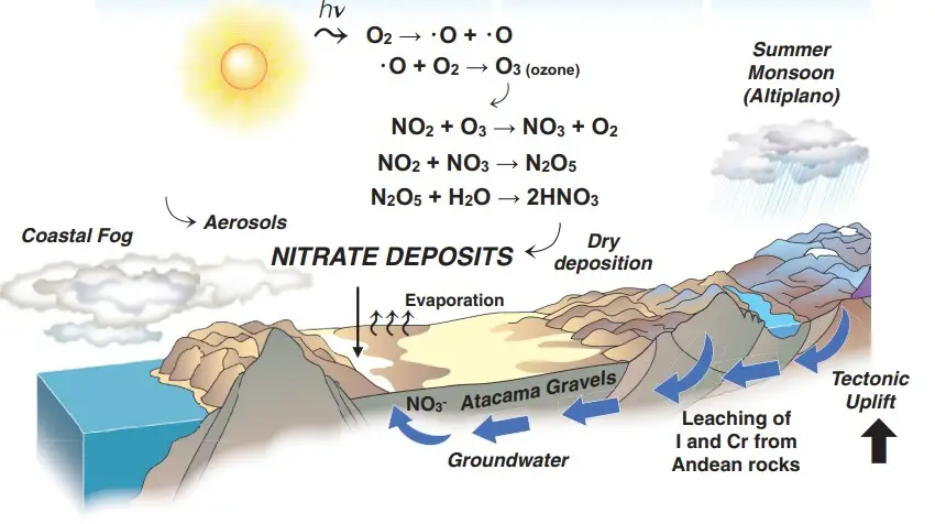 Figura 8c. Modelo conceptual para la deposición de nitrato en el Desierto de Atacama, en el norte de Chile. Esta sección oeste–este muestra las principales unidades morfotectónicas y los procesos involucrados en la formación de depósitos de nitrato. El nitrato atmosférico (NO₃⁻) se produce mediante reacciones fotoquímicas que involucran compuestos de NOx (por ejemplo, NO₂) y ozono (O₃), las cuales generan ácido nítrico (HNO₃) en fase gaseosa. El HNO₃ luego reacciona sobre superficies de aerosoles para formar nitrato particulado, que se acumula en la superficie del suelo y se mezcla con nitrato microbiano transportado por aguas subterráneas. El desencadenante para la formación de los extensos depósitos de nitrato del Atacama fue el aumento simultáneo del levantamiento tectónico y de la desecación, lo que permitió no solo la acumulación y preservación a largo plazo del nitrato atmosférico, sino también la precipitación de especies transportadas (como yodo y cromo) desde aguas subterráneas ascendentes en la Depresión Central debido a la evaporación. Tomado de Reich y Bao (2018).